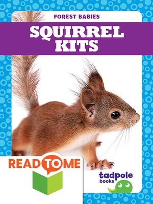 cover image of Squirrel Kits
